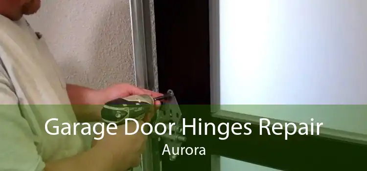 Garage Door Hinges Repair Aurora