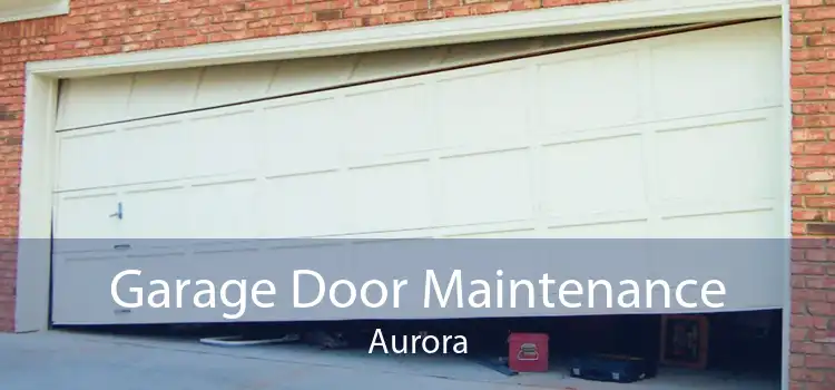 Garage Door Maintenance Aurora