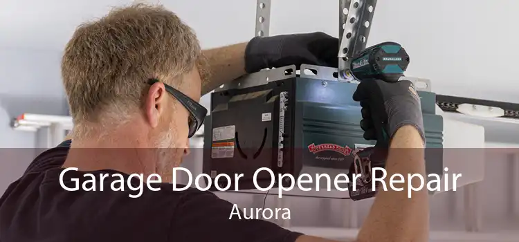 Garage Door Opener Repair Aurora