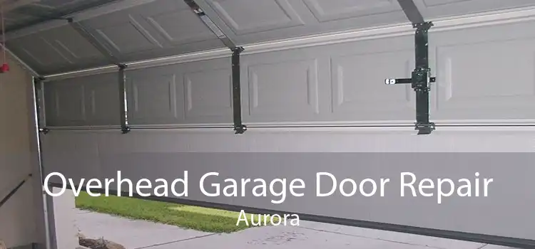 Overhead Garage Door Repair Aurora